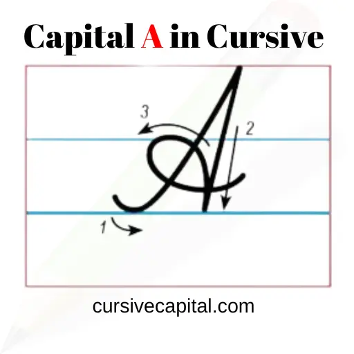Capital A in Cursive
