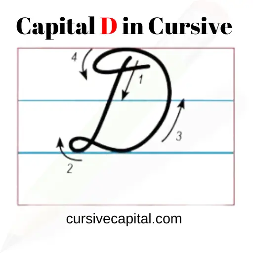 Capital D in Cursive